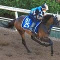 【ＣＢＣ賞・データ埋蔵金】好走条件そろう前走下級条件１着＆距離短縮＆ロードカナロア産駒で浮上する５歳馬