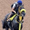 【レパードＳ】キャリアハイ更新ペースの５３勝　荻野極騎手がドンエレクトスを重賞初Ｖに導く「いい対処ができるように備えたい」