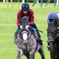 【札幌記念・１週前】凱旋門賞見据えるアドマイヤテラと新コンビの坂井瑠星騎手が手応え「イメージしていた通り」