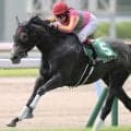 今村聖奈騎手が数々の偉業達成 22年のCBC賞を振り返る