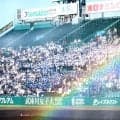 甲子園3試合で「今日もなし」　気になる“初”の行方…Xそわそわ「さあ、いつ」
