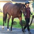 【ＣＢＣ賞・枠順確定】連覇がかかるインビンシブルパパは６枠１２番　２度目の重賞挑戦のディアナザールは４枠７番に決定