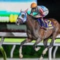 【エルムS枠順確定】ナチュラルライズは4枠4番、ルクソールカフェは3枠3番