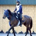 【レパードＳ・金曜気配】重賞初制覇へマクリール陣営のトーンが急上昇　手塚久調教師「体調はすごくいいですね」