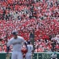 甲子園でノルウェー代表の｢バイキングロー｣！伝統校・八幡商の赤く染まったスタンドから声援響く【26年夏甲子園】