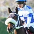 【注目馬動向】佐賀で重賞７勝のサキドリトッケンはスポーツ報知杯ロータスクラウン賞が秋の最大目標　２冠奪取を目指す