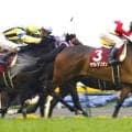 ０８年の東海Ｓで衝撃の単勝万馬券Ｖ　３連単５１３万円超を演出した記憶に残る二刀流牝馬　ヤマトマリオンが２３歳で死す