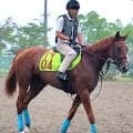 【ＰＯＧ】新種牡馬ストラクター産駒のジャストピーチーは国枝栄厩務員が担当で８・２２札幌デビューへ