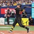 【阪神】佐藤輝明が先制23号　本塁打キング森下翔太に２本差　２年連続で黒ユニ初戦にアーチ