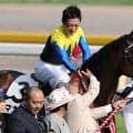 マカヒキ産駒のJRA初陣 リリーギャラクシーに要注目だ
