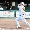 阪神・平田２軍監督、嶋村は「高知のイノシシやから」“勝男節”さく裂　「やっと感じが出てきたね」復調に太鼓判【一問一答】