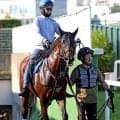 【エルムＳ・馬トク最終ジャッジ】勢いある実績馬テーオーパスワードの気になるポイントはやはり…　