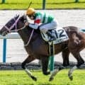 チャーチルダウンズC3着のバルセシート 自己条件で確勝期す