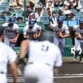 甲子園中継で「頭から離れない」　異様な“中毒性”…日本企業に爆笑「いっぱい見る季節」