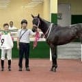 【中京１Ｒ・２歳未勝利】単勝１・４倍のジーティーキャリー鮮やか逃げ切り　西村淳也騎手「自分のやるべき事をわかっている」