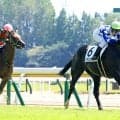 【新潟３Ｒ・２歳新馬】３番人気コラリオンがメンバー最速の末脚でＶ　田辺裕信騎手「１番人気になるかと思っていた」