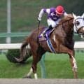 【盛岡・クラスターC枠順】岩手のお盆開催飾る短距離重賞 連覇狙うサンライズアムールは3枠3番