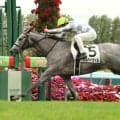 【札幌５Ｒ・２歳新馬】速い時計出さずに完勝！「めちゃくちゃ動く」吉田隼人騎手絶賛のシルバーウィルが逃げ切りＶ　