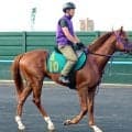 【札幌５Ｒ・２歳新馬】鹿戸雄一厩舎のエフフォーリア産駒ジーフォーリアは４着　横山武史騎手「長い目でみたい」