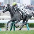 【札幌5R新馬戦結果】キタサンブラック産駒シルバーウィルが逃げ切りV