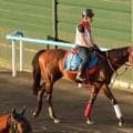 土曜札幌競馬場の注目激走馬…札幌１１Ｒエルムステークス・Ｇ３