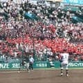 「初めて見た」“赤いチア”　甲子園中継で視線釘付け…納得の理由に好感「いいじゃない」