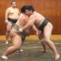 幕下・不動豊が申し合い稽古で８連勝　大学４冠で春場所幕下付け出しデビューの男は「秋場所は全勝したい」