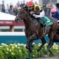 【エルムS結果】ルクソールカフェがダートに戻って快勝 復活の重賞2勝目