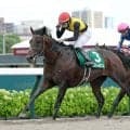 【エルムＳ】砂に戻ってルクソールカフェが復活Ｖ　岩田望来騎手は全１０場重賞制覇へリーチ