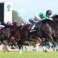 【新潟７Ｒ・関越Ｓ】エストゥペンダが待望のオープン初勝利　荻野極騎手「皆さんのおかげでいい走りをしてくれた」