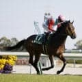 【CBC賞予想】3歳馬が苦戦するのは経験不足が要因!? レース傾向から脚質的に信頼しきれない人気の一角とは