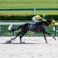 【レパードS予想】豊富なレース経験よりもフレッシュさが重要!? 人気でも様々な不安要素を抱えている軽視すべき一頭とは