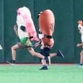 【巨人】プレー中にジャビット、マグロが乱入！？　思わぬ珍事に東京ドームが大爆笑