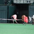 【巨人】“フライング事件”はすしレース史に刻まれる事件簿に？マグロがＷフライングもエビ制す