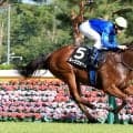 【新潟８Ｒ・ダリア賞】「あまり良い競馬じゃなかったですね…」手塚久調教師は課題挙げるもルークウォームがレコード勝ち　