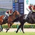 秋華賞戦線にまたも有力候補誕生にネット反応「幻のオークス馬」「楽しみ過ぎる」　ラベルセーヌが３勝目をゲット