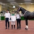 【中京１１Ｒ】良血馬バルセシートが１勝クラスで２馬身差の完勝　西村淳也騎手「もう何の問題もない。素晴らしい」