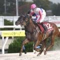 【門別・北海道SC枠順】3歳限定の短距離ダートグレード競走 JRAのトウカイマシェリは8枠10番
