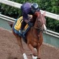 【ＣＢＣ賞・土曜気配】重賞勝ち馬アブキールベイは坂路で活気ある動き　坂口調教師「スムーズなら脚を使ってくれます」