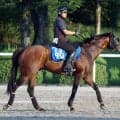 【ＣＢＣ賞】単勝１番人気は左回り３戦３勝の良血馬　実績上位のレイピアが続く　３連単は混戦ムード　前日最終オッズ
