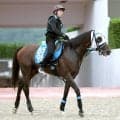 【ＣＢＣ賞・土曜気配】切れ者アンクルクロスが良馬場で巻き返す　高橋亮調教師「中京コースは合うと思う」