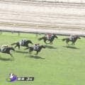 「末脚キレキレ」“楽々先頭→上がり最速デビューV” 新馬をファン絶賛「手応えぶっ壊れ」「クラシックいける馬かも」