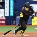 【阪神】佐藤輝明、7・19以来のマルチ安打「悪くないんでね。また明日」９日は中日柳と対戦