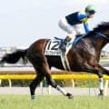 ８月９日はキングカメハメハの命日　世を去ってから７年　産駒ロードカナロア、孫にアーモンドアイなど数々の名馬を送り出す