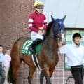 重賞２着７回の”最強の１勝馬”ボンドガールが現役引退…手塚久師「無事に繁殖に上がれたのは良かった」