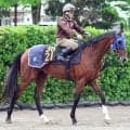 【９日の注目・札幌６Ｒ】３・２億馬ヘイジュードが距離延長で初勝利へ　兄はＧ１馬のキラーアビリティ