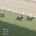 「圧巻の走り」“逃げてレコード＆上がり最速” 2連勝ホースにファン期待高まる「本物」「G1馬になる予感」