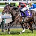 皐月賞3着のライヒスアドラー 自己条件で必勝態勢だ