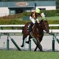 【CBC賞予想】サマースプリント第4戦 瞬発力勝負の中京芝1200mハンデ重賞