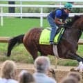 【米Ｇ１・ホイットニーＳ】フォーエバーヤングに勝った強豪ダート馬がまさか大敗　昨年の年度代表馬ソヴリンティが復活Ｖ